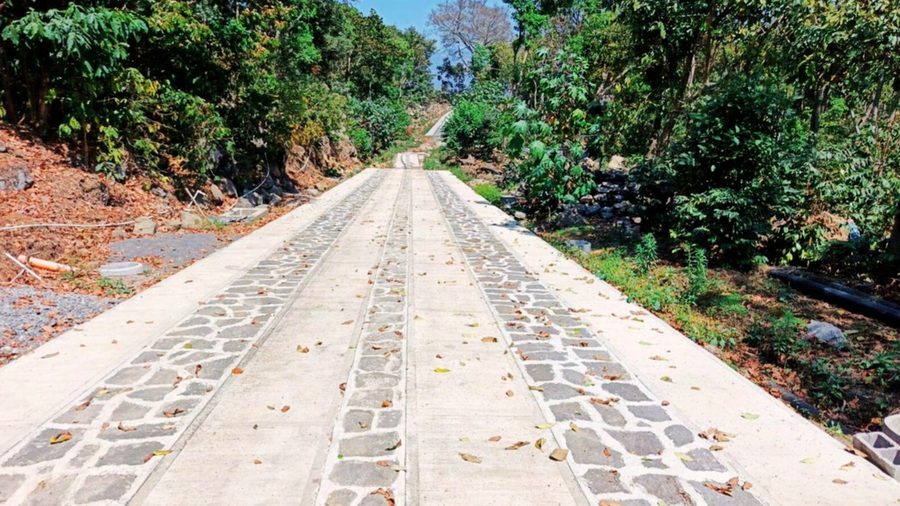 Calle interna adoquinada entre la vegetación